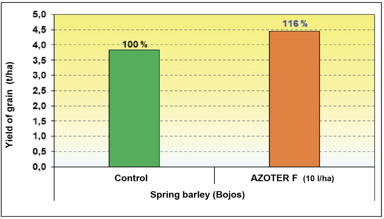 Effect of pre sowing AZOTER F application on the spring barley grain yield at 14 humidity