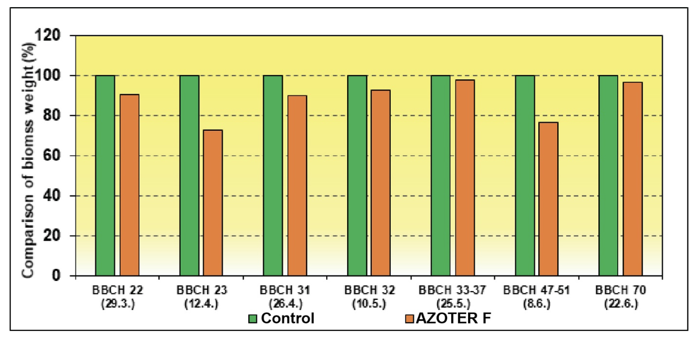 Influence of AZOTER F application on dry weight of aboveground biomass of wheat plants in the period of vegetation