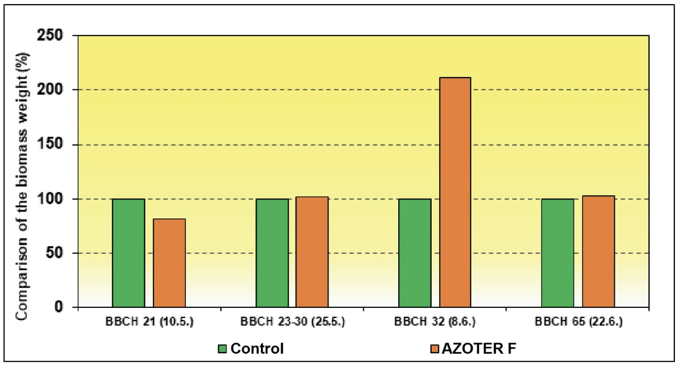 The effect of AZOTER F application on dry weight of above ground biomass of barley plants in the period of whole vegetation
