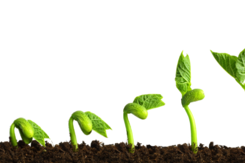 Azoter – riesenie pre mnohych pestovatelov