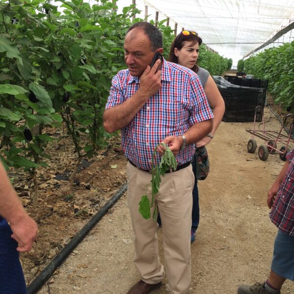 azoter spanielsko 11