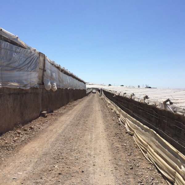 azoter spanielsko 12