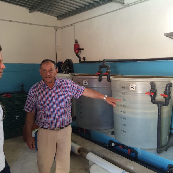 azoter spanielsko 20