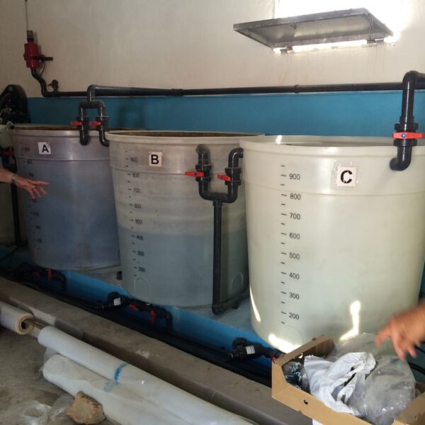 azoter spanielsko 21