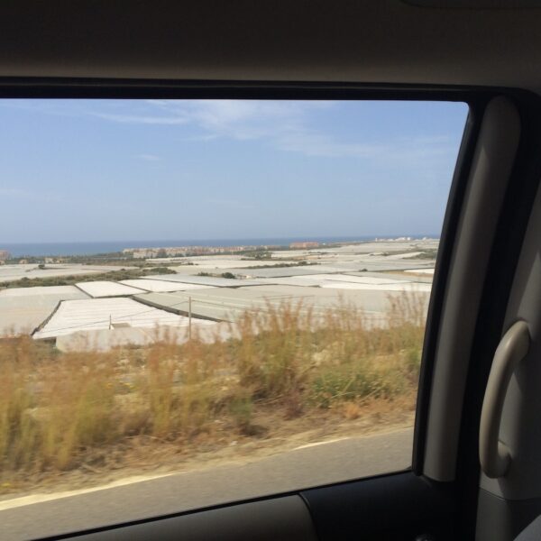 azoter spanielsko 26