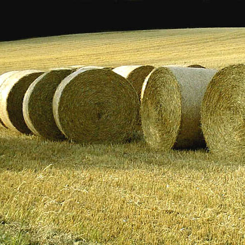 Moznosti zefektivnenia rozkladu slamy a vytvorenia vhodnych zivinovych podmienok pre nasledne plodiny