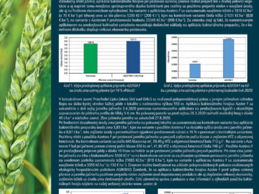 AZOTER Nase pole 1 2021