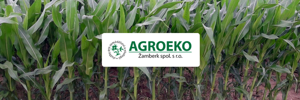 Ověření účinnosti bakteriálního přípravku AZOTER BF v porostu silážní kukuřice v půdně klimatických podmínkách Českomoravské vrchoviny