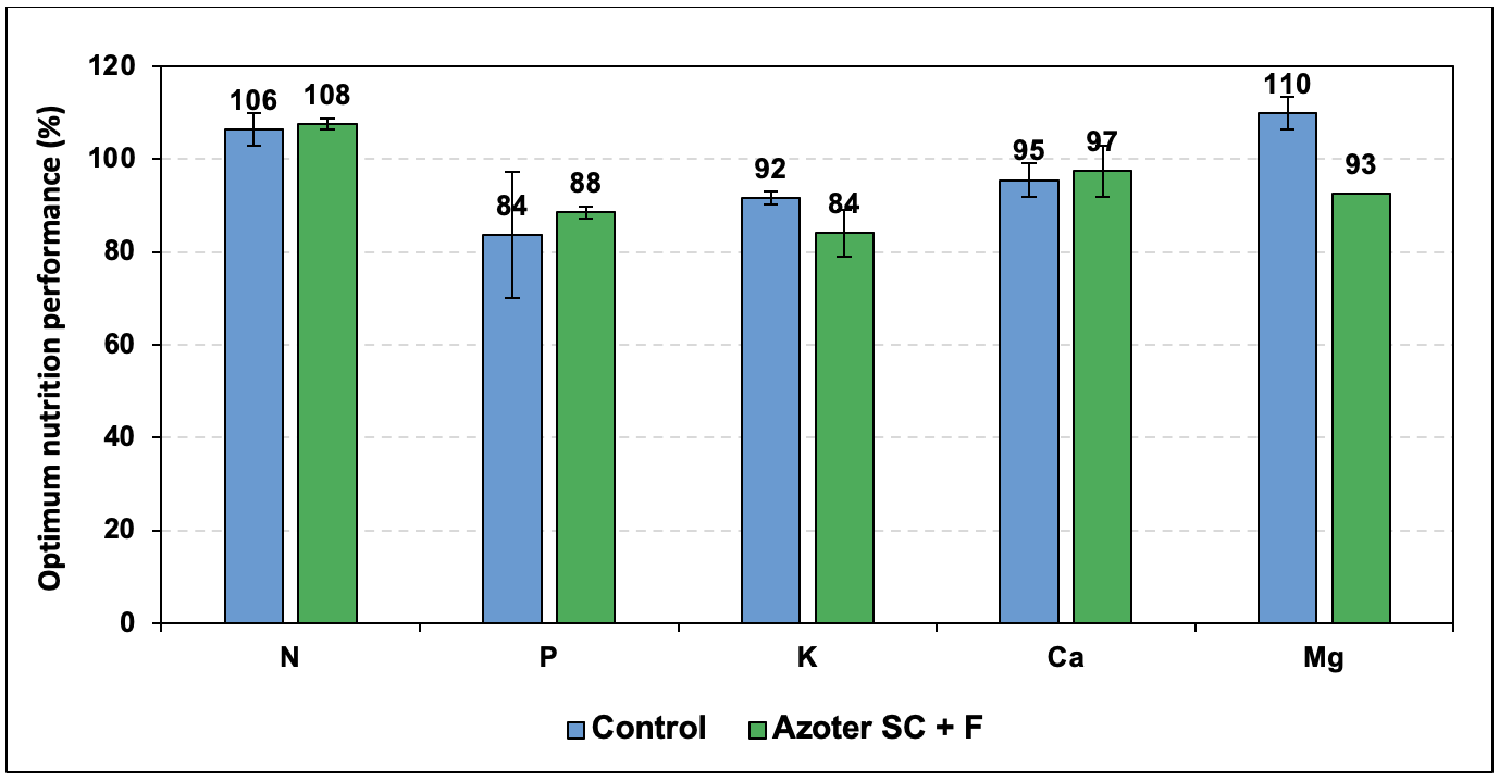 Nutritional status of winter rape plants during the beginning of long growth in the soil