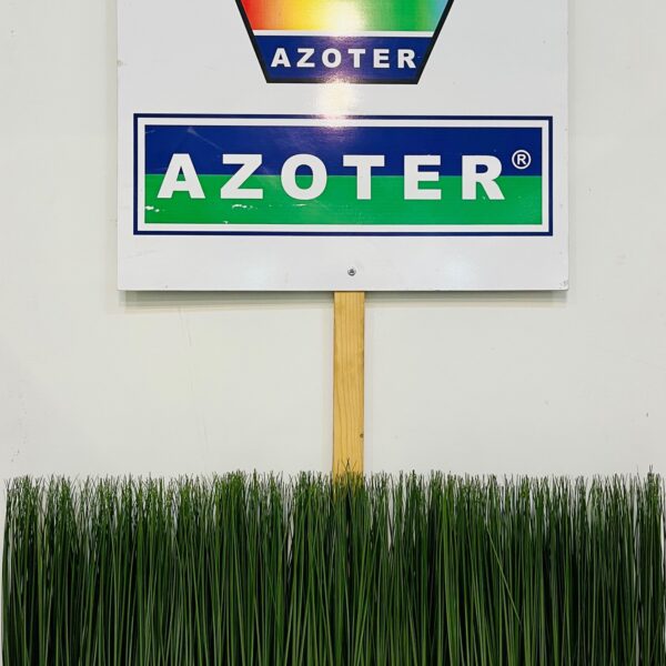 ROMEXPO INDAGRA Bukurest 202215