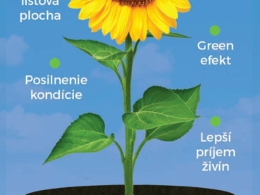 AZOTER Nase pole 5 2023