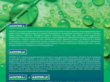 AZOTER Nase pole 6 2023