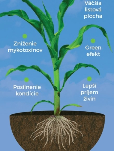 AZOTER Agromagazin 3 2023