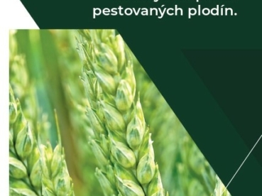 AZOTER Nase pole 10 2023