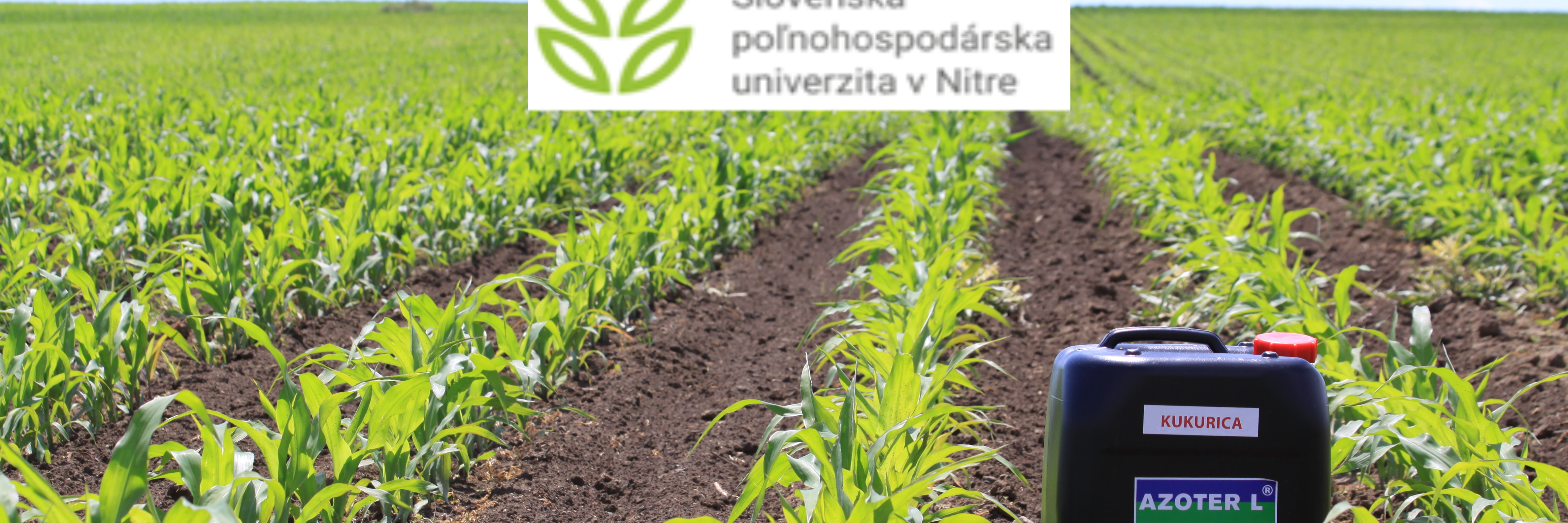 kukurica SPU kukurica SPU