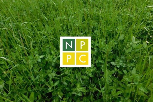 Obr. 2 Miešanky NPPC