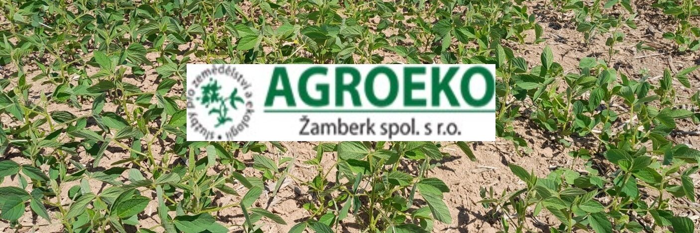 ilustračný obr. sója 2023