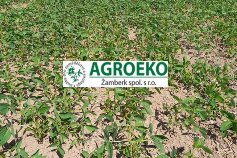 ilustračný obr. sója 2023