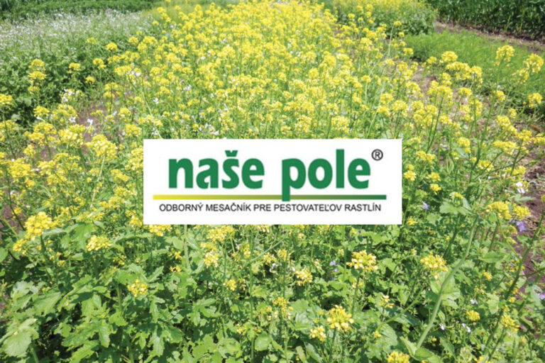 nase pole azoter