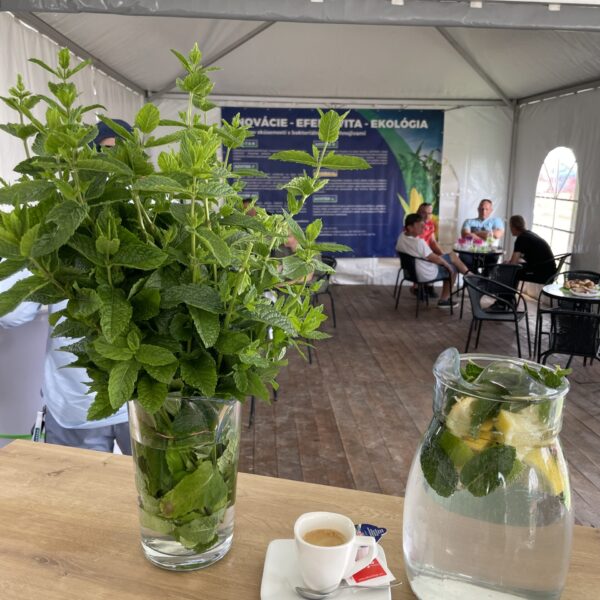 AZOTER Dvory 2024 (10)