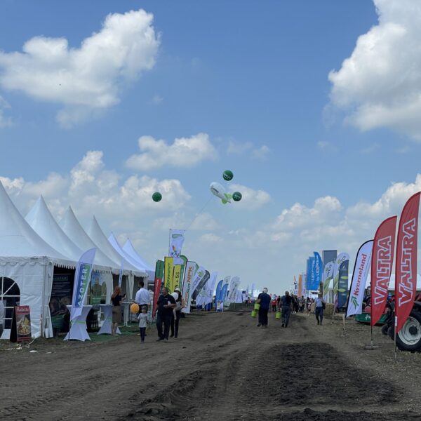 AZOTER Dvory 2024 (12)