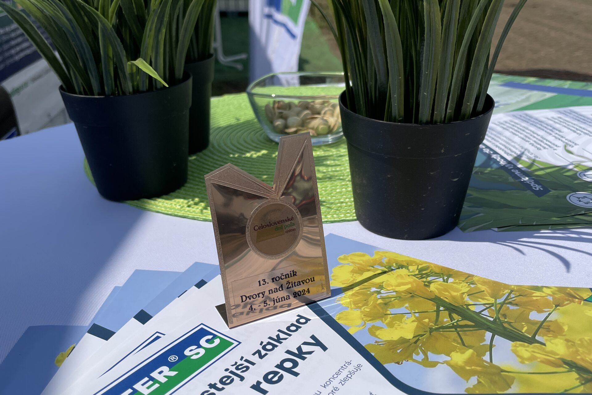 AZOTER Dvory 2024 (13)