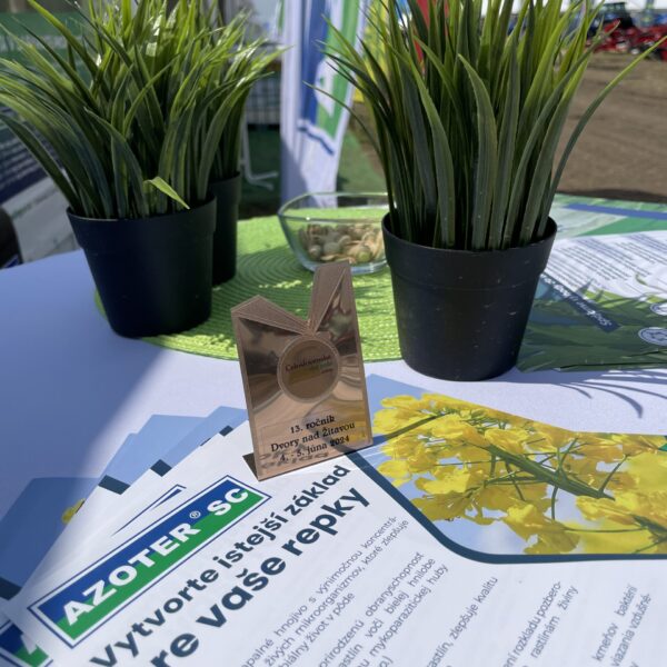 AZOTER Dvory 2024 (13)