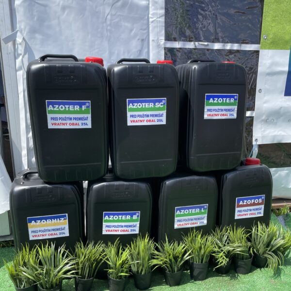 AZOTER Dvory 2024 (5)