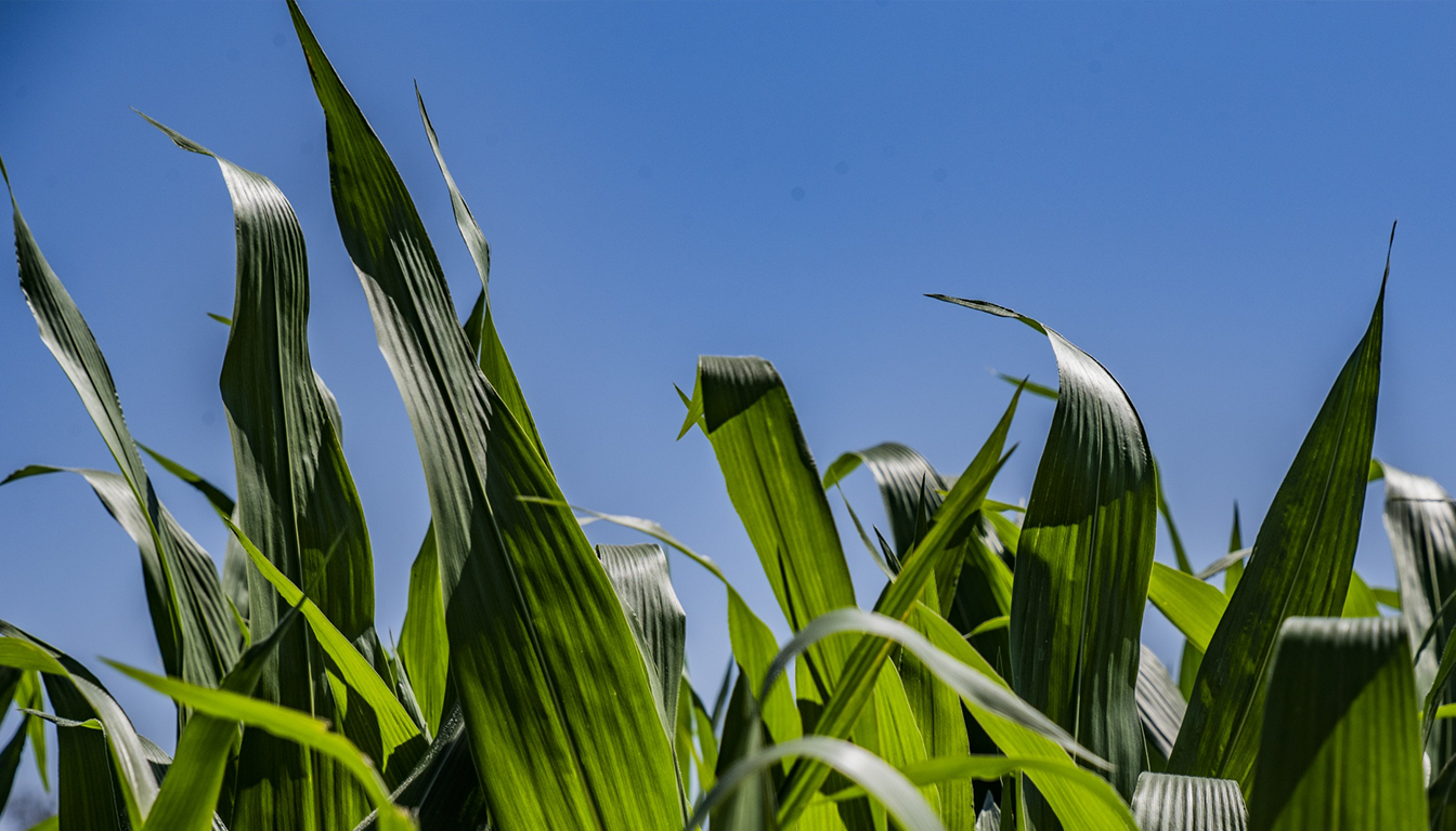 AZOTER listova aplikacia