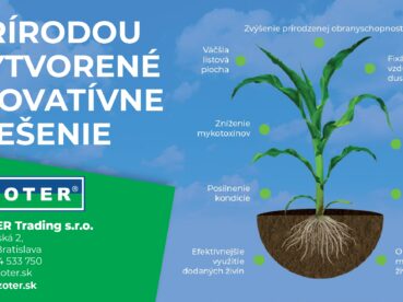 AZOTER Nase pole 4 2024