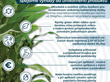 AZOTER Nase pole 7 2024